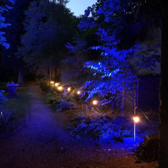 25m BC Festoon, 1m Spacing with 16A Plug and Socket