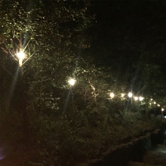 25m BC Festoon, 1m Spacing with 16A Plug and Socket
