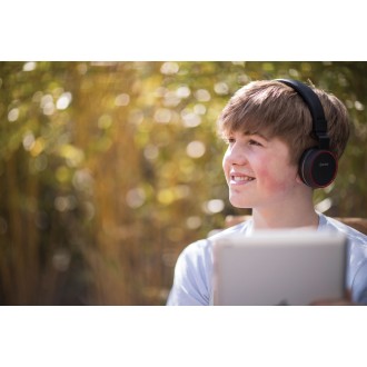 Avlink Multimedia Headphones with in-line Microphone