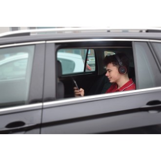 Avlink Multimedia Headphones with in-line Microphone