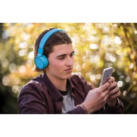 Avlink Multimedia Headphones with in-line Microphone
