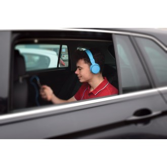 Avlink Multimedia Headphones with in-line Microphone