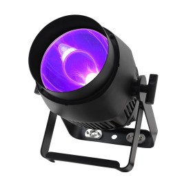 Endura UV100 COB Exterior Fixture