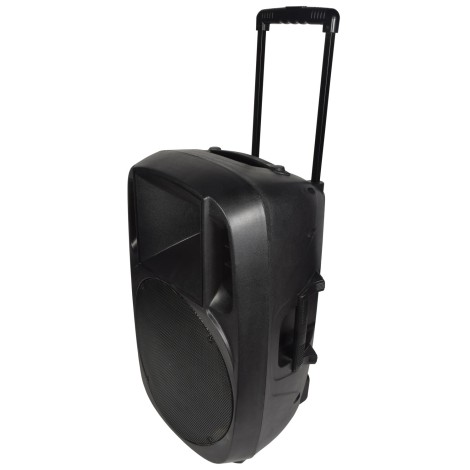 Qtx XCAB-15 Moulded PA Cabinet 15"