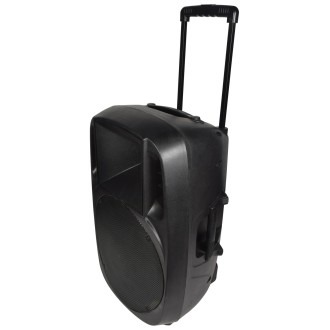 Qtx XCAB-15 Moulded PA Cabinet 15"