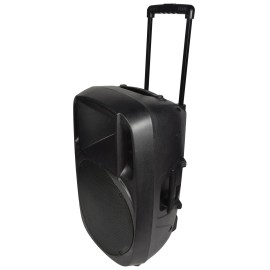 Qtx XCAB-15 Moulded PA Cabinet 15"