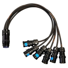 eLumen8 16A Male - Socapex 19-Pin Female 2.5mm Fan-In Cable