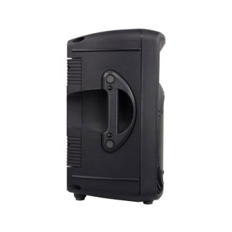 Mackie C200 10" 2-Way Passive Loudspeaker