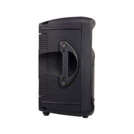 Mackie C200 10" 2-Way Passive Loudspeaker