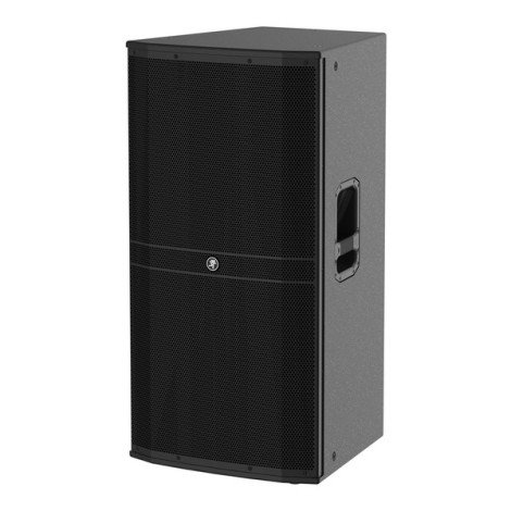 Mackie DRM315-P Professional Passive Loudspeaker