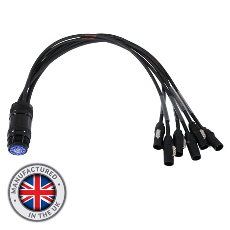 PowerCON True1 - Socapex 19-Pin Female 1.5mm Fan-In Cable