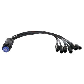 PowerCON True1 - Socapex 19-Pin Female 1.5mm Fan-In Cable