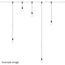 2.0m BC Festoon Pendant - B22 Lamp Holder