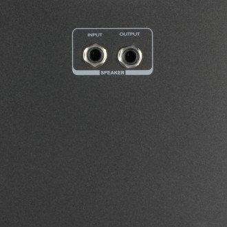 LD Systems Roadman 102 SP - Passive Slave Speaker