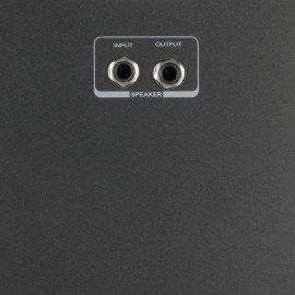 LD Systems Roadman 102 SP - Passive Slave Speaker
