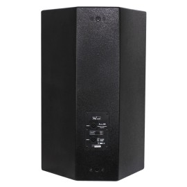 W Audio Zenith 115 Speaker
