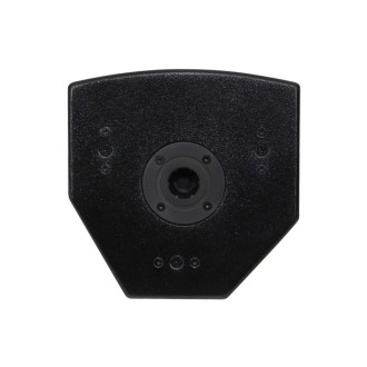 W Audio Zenith 110 Speaker
