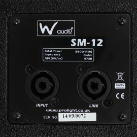 W Audio SM 12 Stage Monitor