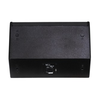 W Audio SM 12 Stage Monitor