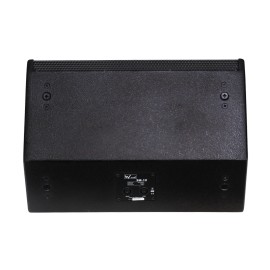 W Audio SM 12 Stage Monitor