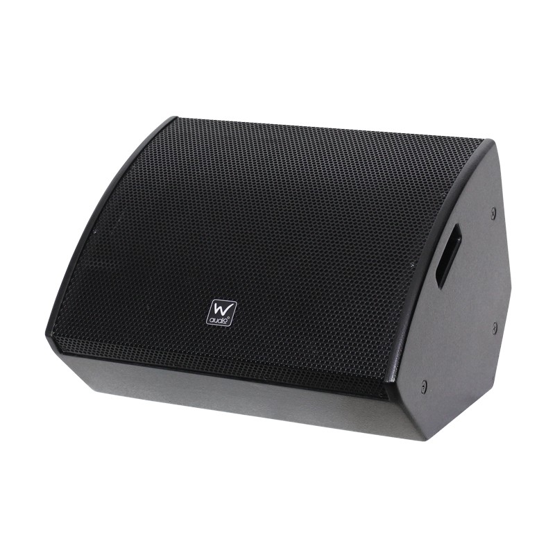 W Audio SM 12A Stage Monitor