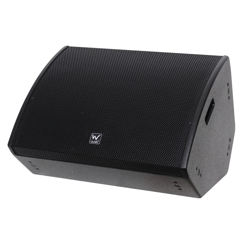W Audio SM 15 Stage Monitor