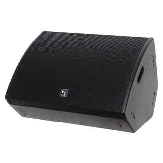 W Audio SM 15 Stage Monitor