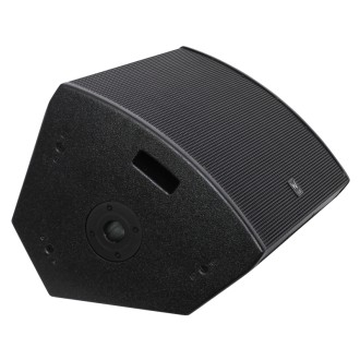W Audio SM 15 Stage Monitor