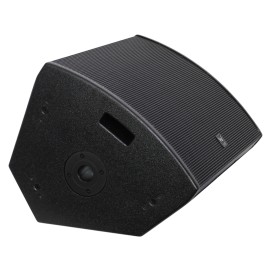 W Audio SM 15 Stage Monitor