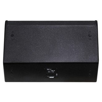W Audio SM 15 Stage Monitor