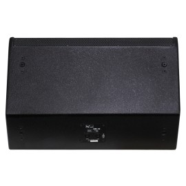 W Audio SM 15 Stage Monitor