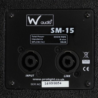 W Audio SM 15 Stage Monitor