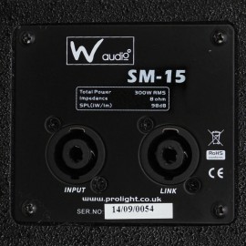 W Audio SM 15 Stage Monitor