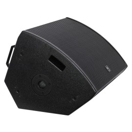 W Audio SM 15A Stage Monitor