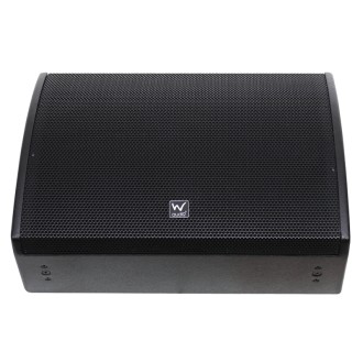 W Audio SM 15A Stage Monitor