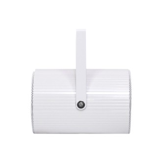 Clever Acoustics PS 620T 100V 6" 20W Projector Speaker