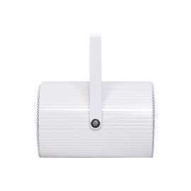Clever Acoustics PS 620T 100V 6" 20W Projector Speaker