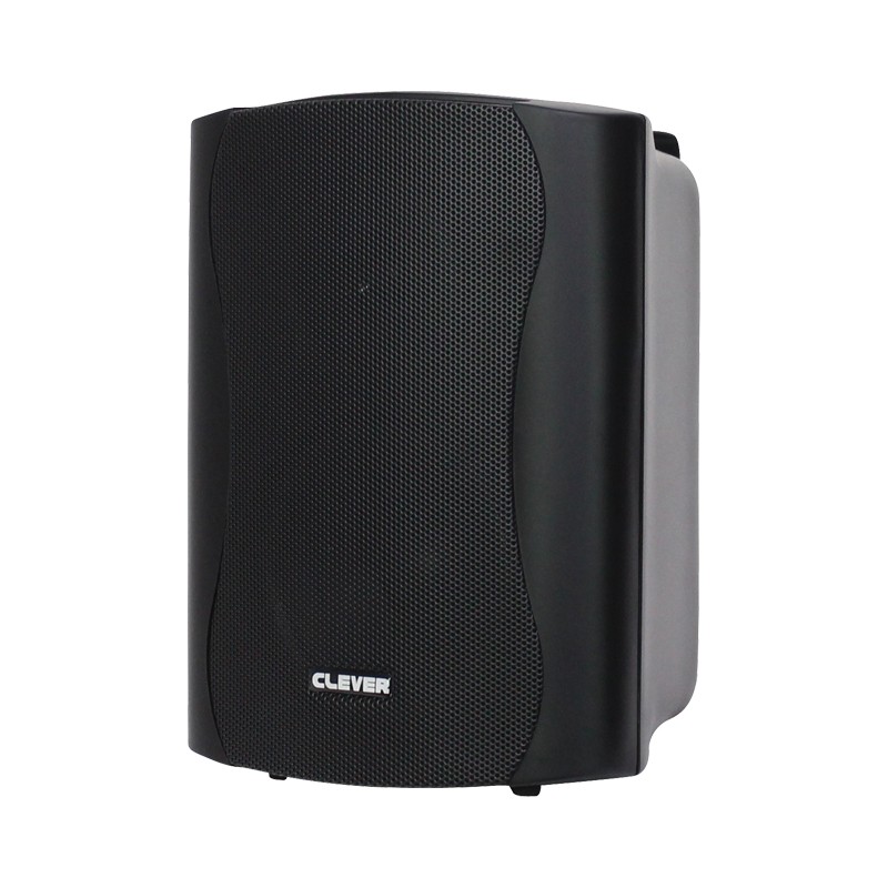 Clever Acoustics BGS 25 Black 8 Ohm Speakers (Pair)