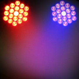 LEDJ Intense 19T3 RGB LED Slim Par