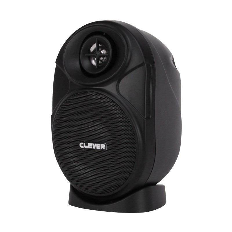 Clever Acoustics BGS 20T Black 100V Speakers (Pair)