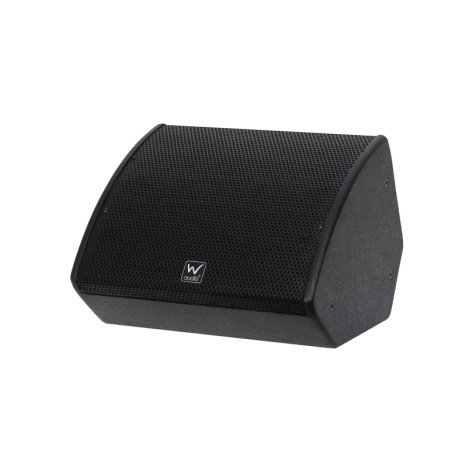 W Audio SM 8 Stage Monitor