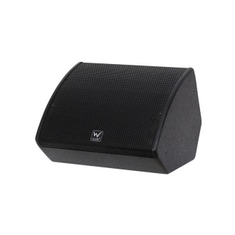 W Audio SM 8 Stage Monitor
