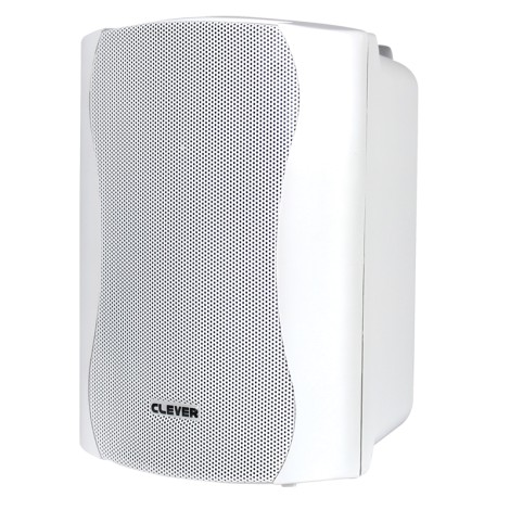 Clever Acoustics BGS 50T White 100V Speakers (Pair)
