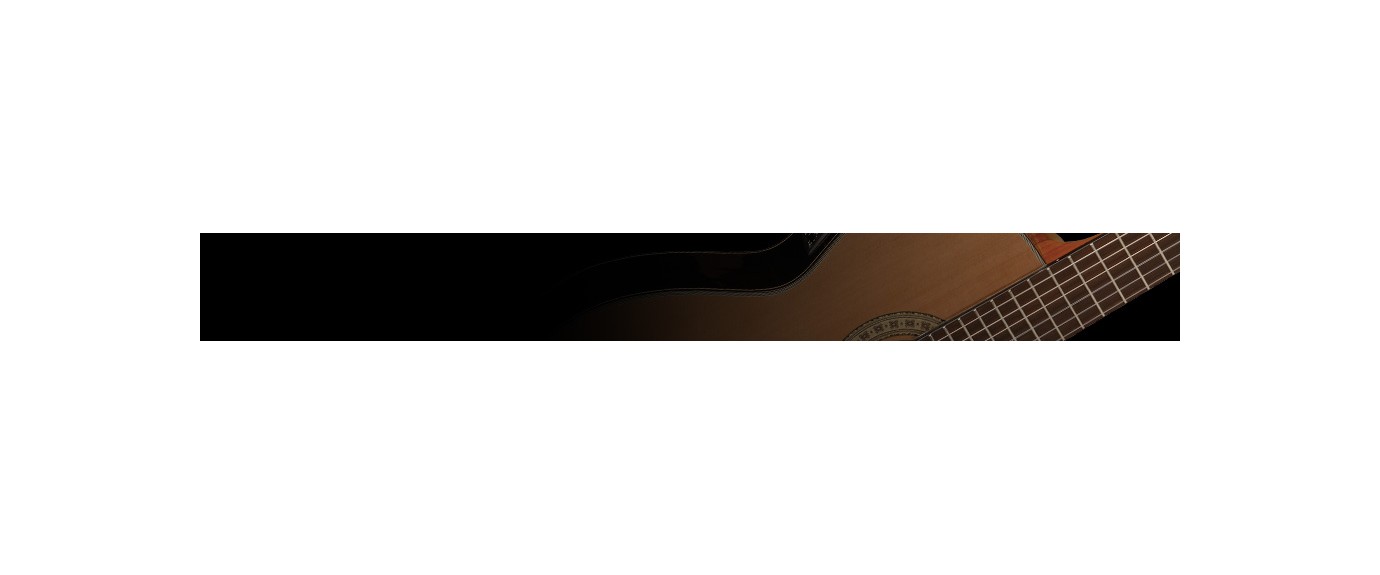 Acoustic Guitars