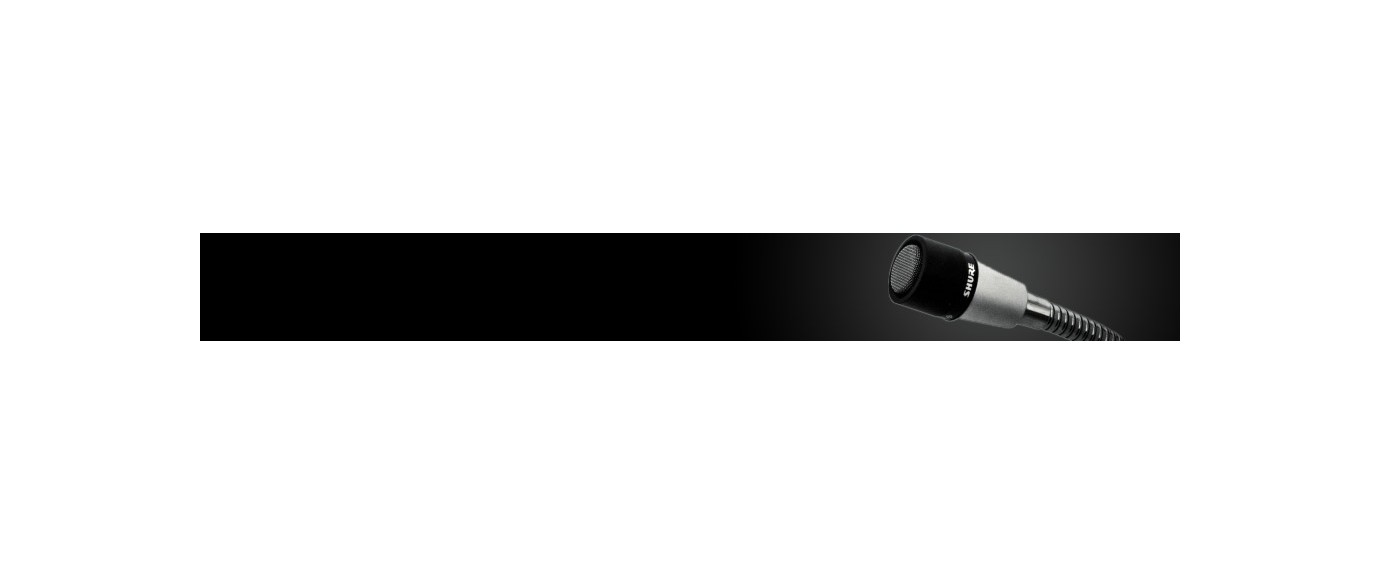 Gooseneck Microphones